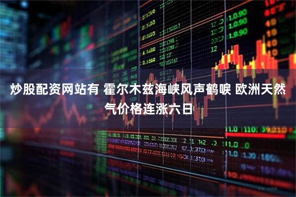 炒股配资网站有 霍尔木兹海峡风声鹤唳 欧洲天然气价格连涨六日