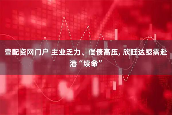 壹配资网门户 主业乏力、偿债高压, 欣旺达亟需赴港“续命”